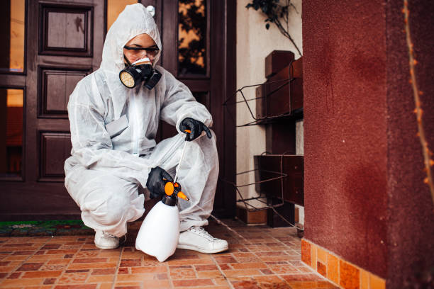 Reliable Wasp Removal contractor in Chocowinity, NC by Show Me Pest Control